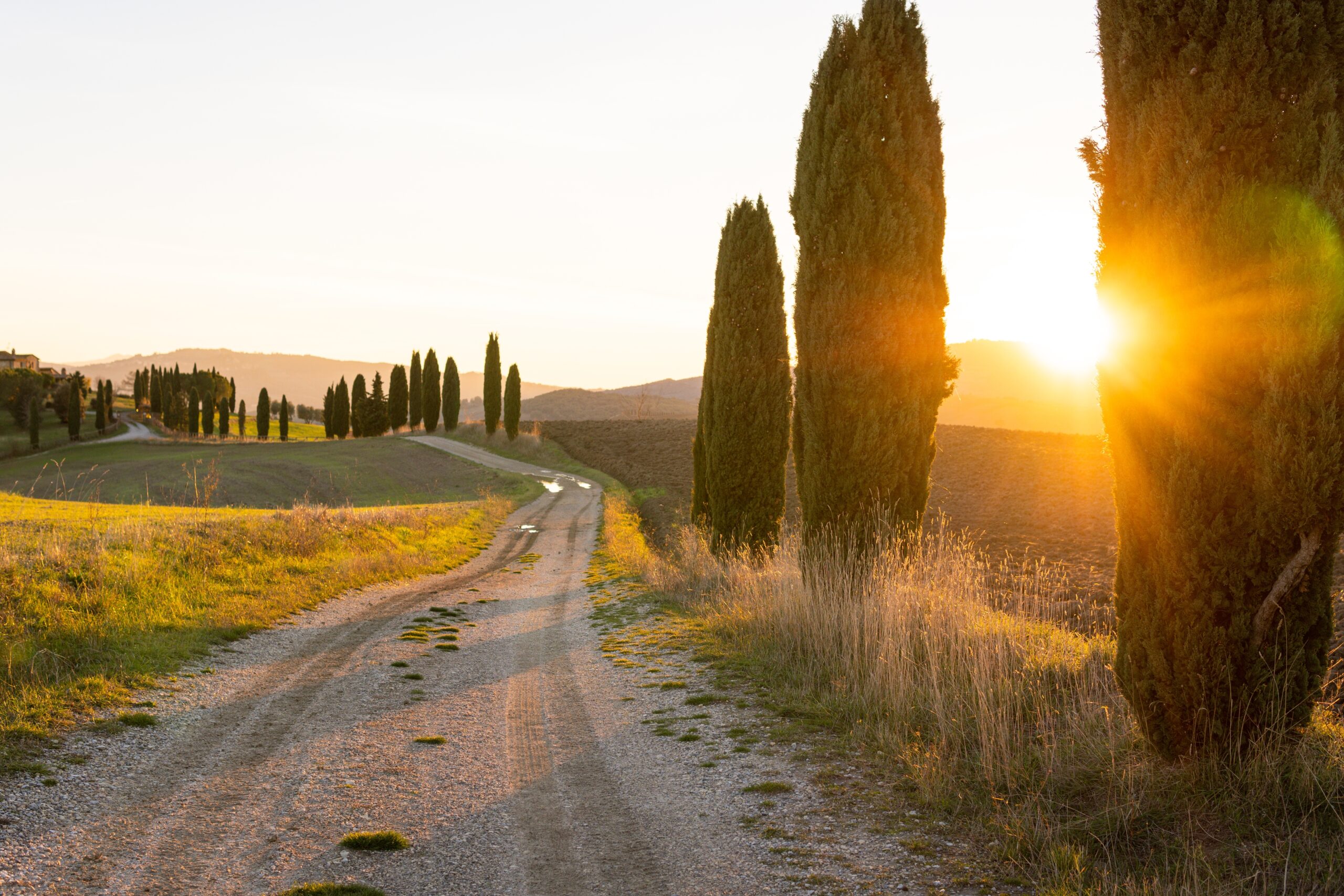 Rural,Road,With,Cypress,Trees,At,Sunset,In,Tuscany,,Italy.