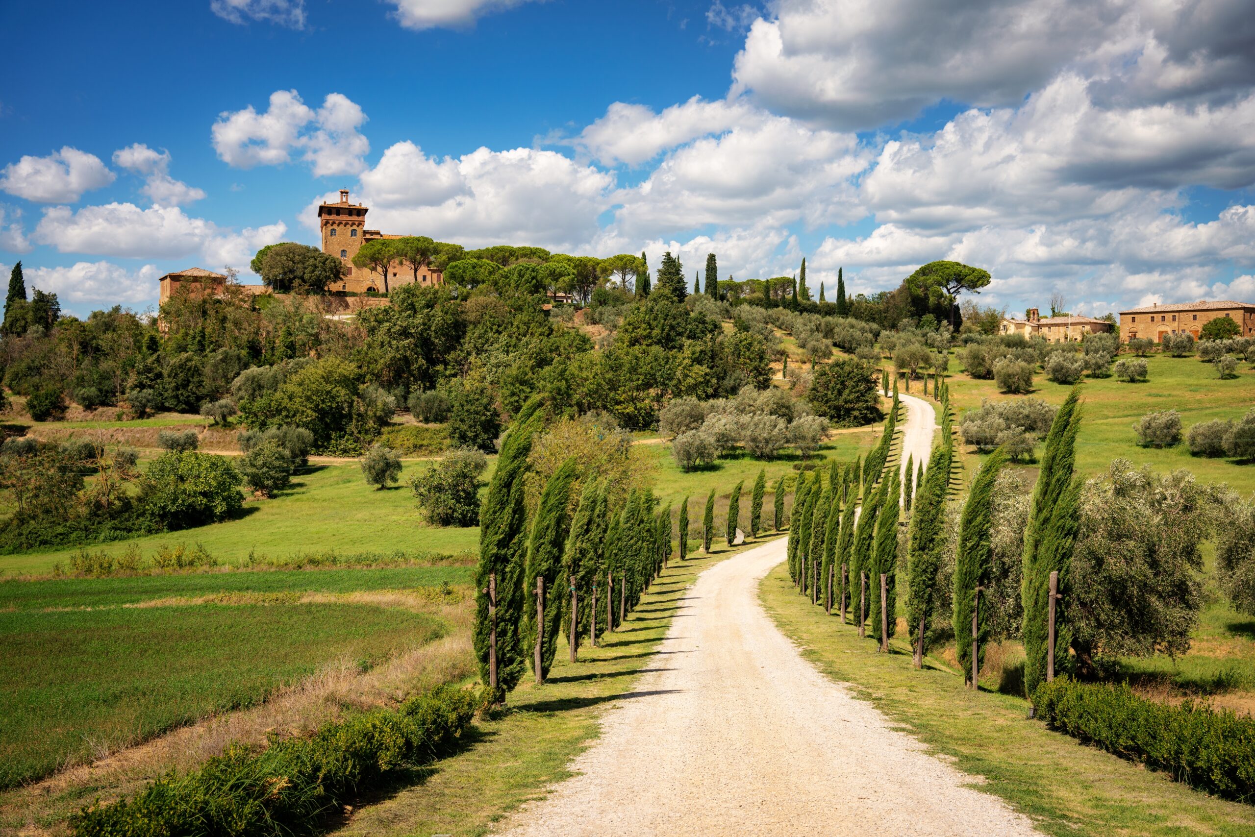 Pienza,,Tuscany,,Italy,,Tuscany,Landscape,,Cypress,Avenue,,Cypresses,,Winery,,Wine,